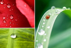 What are superhydrophobic nanocoated materials?